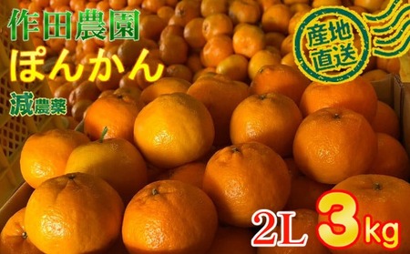 yGizc_I|J2LTCY 3kg _ _ L@엿 |J ۂ񂩂  ʕ t[c k 񂫂 ݂ ~J lC