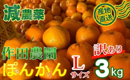 [訳あり]作田農園直送!ポンカンLサイズ3kg みかん 有機肥料 ポンカン ぽんかん