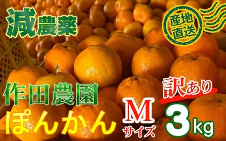 【室戸産ポンカン】訳あり ポンカン Mサイズ3kg