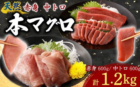 VR{܂ Ԑg g ؗ y 傱ƃpbN v1.2kg HׂTCY ؂藎Ƃ hg  CN   CY L }O ̓ m ȒP ȒP y 