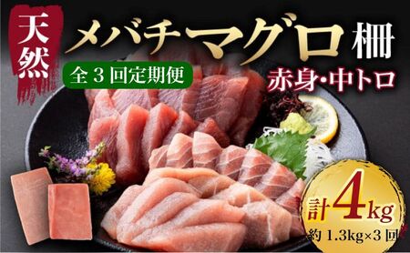 [ 3回定期便 ] 天然メバチマグロ 中トロ 赤身 約1.3kg [マグロマグロマグロマグロ]