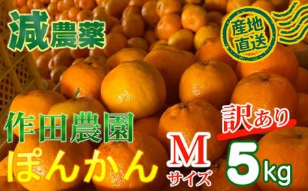 [訳あり]作田農園直送!ポンカンMサイズ5kg [みかんみかんみかんみかんみかん]
