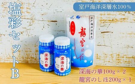 塩彩セットB 計400g 塩 塩分 熱中症対策 天日塩 国産塩 室戸海洋深層水使用の塩