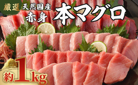 【数量限定】 厳選 天然 本マグロ 赤身 １ｋｇ以上 国産 マグロ 鮮魚 魚 刺身 刺し身 漬け丼 海鮮丼 おかず 魚介類 海鮮 海産物 まぐろ 本まぐろ 鮪 ブロック 1キロ 惣菜 冷凍 美阿丸 高知県 室戸市