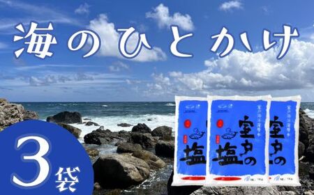 海のひとかけ 1kg×3袋 業務用 塩 調味料 天日塩 国産塩 塩分 室戸の塩