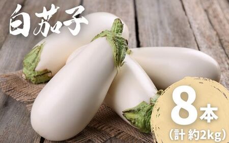 _ƒ ֎q y̔֎q̐VNiX 8{ 2kg  Ȃ iX 퉷  Y Ė ֎q  { m