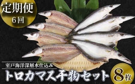 [定期便 6回 寄数月]干物 トロカマス カマス かます 8枚 冷凍 人気 干物 大容量 魚介 海鮮 惣菜 白身魚 室戸海洋深層水 高知県室戸市 ご飯のお供 晩酌 酒の肴 おつまみ 朝食 BBQ キャンプ ギフト 贈答 国産魚 グルメ 送料無料
