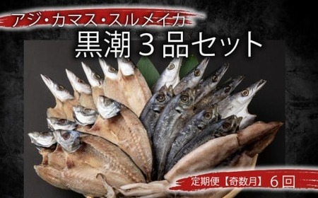 [定期便 奇数月6回] 干物 黒潮セット アジ開き5枚 鯵 アジ あじ カマス開き5枚 かます トロカマス スルメイカ1枚 冷凍 人気 干物 詰め合わせ 大容量 海鮮 魚介 白身魚 室戸海洋深層水 高知県室戸市 ご飯のお供 朝食 晩酌 酒の肴 おつまみ BBQ ギフト 贈答 グルメ 送料無料