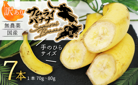 [訳あり]高知県産 侍バナナ|無農薬・国産・農家直送 手のひらサイズ 7本 バナナフルーツ バナナ サムライ スムージー ふるさと納税