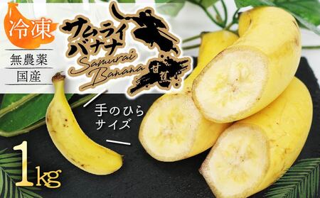 [冷凍]高知県産 侍バナナ|無農薬・国産・農家直送 手のひらサイズ 1kg バナナ フルーツ 果物 ギフト 冷凍フルーツ バナナ サムライ スムージー ふるさと納税