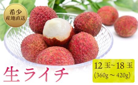 [先行予約/数量限定]希少 生ライチ(化粧箱入り) / 高知県産 贈答 ギフト プレゼント 希少 国産
