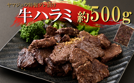 ヤマジュウの特製タレ漬け!牛ハラミ肉500g_yj061
