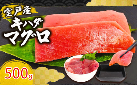 [ まぐろ ] キハダマグロ 赤身 500g