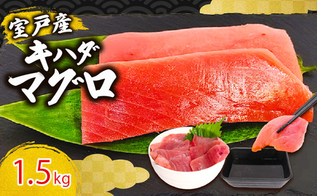 y ܂ z Ln_}O Ԑg 1.5kg