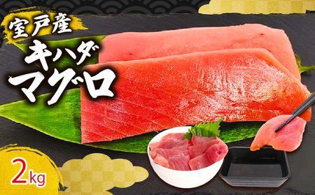 y ܂ z Ln_}O Ԑg 2kg