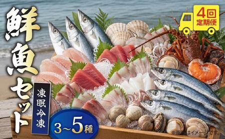 [ 鮮魚 ] 鮮魚 セット 4回 定期便 3種〜5種