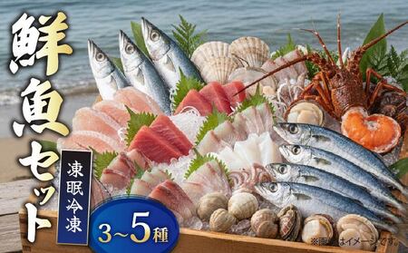 [ 鮮魚 ] 鮮魚 セット 3種〜5種