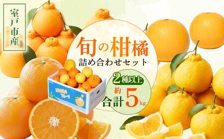 【 柑橘 詰め合わせ 5㎏ 】訳あり 柑橘