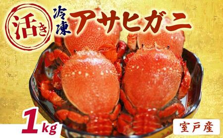 [ 活冷凍 アサヒガニ 約1kg ] 蟹 かに カニ がに ガニ 生 魚介類 海鮮