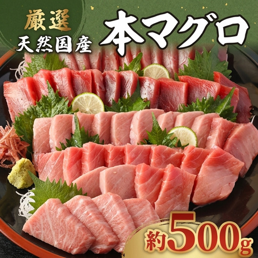 【数量限定】 厳選 天然本マグロ 中トロ・大トロ 500ｇ以上 国産 鮮魚 マグロ 魚 刺身 刺し身 漬け丼 海鮮丼 おかず 魚介類 海鮮 海産物 まぐろ 本まぐろ 鮪 ブロック 惣菜 冷凍 美阿丸 高知県 室戸市