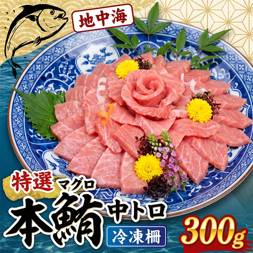 本マグロ 中トロ柵 約300g[まぐろ]tk206