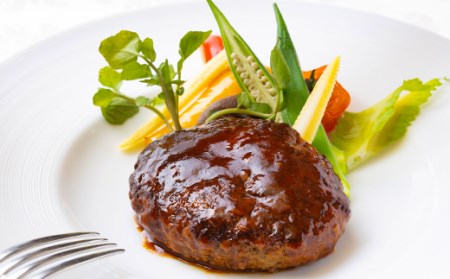 土佐あかうし100%ハンバーグステーキ(自家製ソース2種)150g×4個ブランド肉ハンバーグ ハンバーグ ハンバーグ _sb002