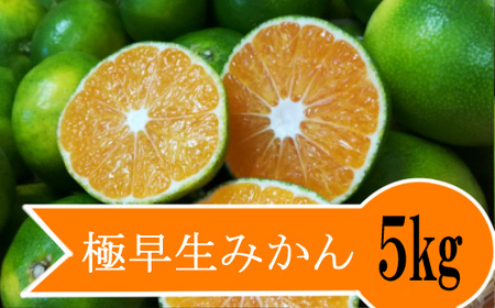 [先行予約]太陽の恵みたっぷり 極早生みかん5kg 数量限定 柑橘 さっぱり甘い フルーツ 果物 _rk049