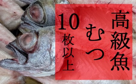 むつ 魚 検索結果 ふるさと納税サイト ふるなび