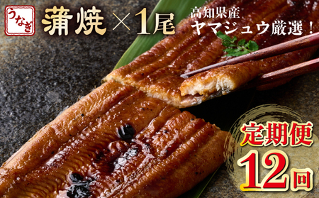 [12回定期便]ヤマジュウ厳選! 国産 ウナギ 蒲焼き 1尾(約175g〜180g) タレ付き 鰻 うなぎ かば焼き 加工品 魚 魚介類 高知県産 冷凍 _