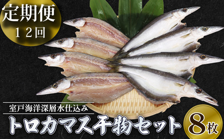 [高知県室戸市]トロ カマス 干物 8枚 × 12回 定期便 頒布会 室戸海洋深層水仕込み 国産ひもの 冷凍配送 ご家庭やギフトに