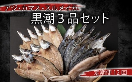 【定期便】いずま海産の黒潮干物頒布会【年12回お届け】干物