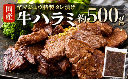 ヤマジュウの特製タレ漬け！牛ハラミ肉５００ｇ _yj061