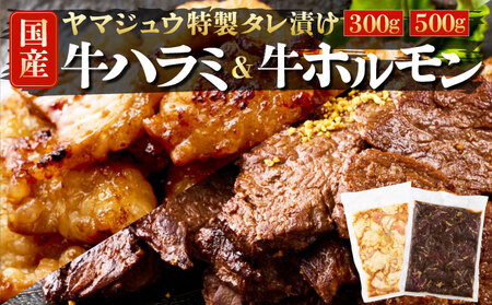 ヤマジュウの特選タレ漬け!牛ハラミ肉500g&国産牛ホルモン300g _yj065