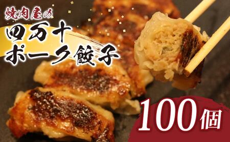 餃子 四万十ポーク手作り餃子100個 ぎょうざ 餃子 ギョウザ _yj069