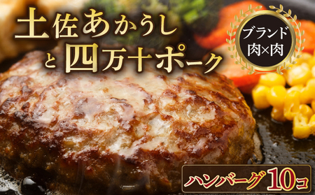 土佐あかうしと四万十ポークのハンバーグ 10個セット _yj071