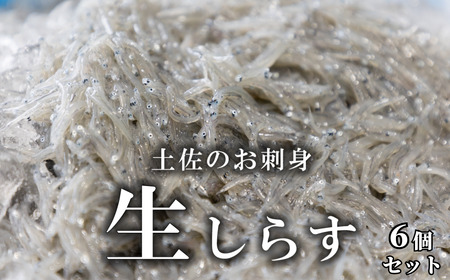 土佐のお刺身「生しらす」6個セット ≪しらす出汁を使った特製のポン酢タレ付き≫