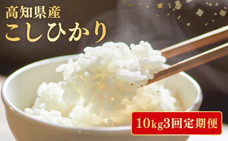 [3回定期便]こしひかり10kg 精米白米米お米お米
