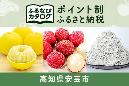 [有効期限なし!後からゆっくり特産品を選べる]高知県安芸市カタログポイント