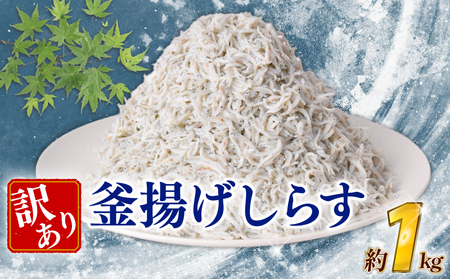 しらす 訳あり 1kg しらす ごはん おかず チャーハン パスタ 料理 不揃い ランキング こだわり BY