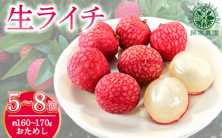 [令和8年6月上旬頃より発送]ライチ 先行予約 お試しパック 生ライチ 国産 BK