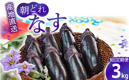 y3ցẑiX 3kg×3 m|sbiX AZ005