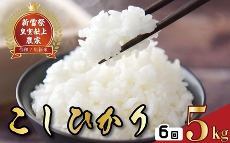 yRVqJz V 5kg 6  Ђ ߘa7NY  AS019