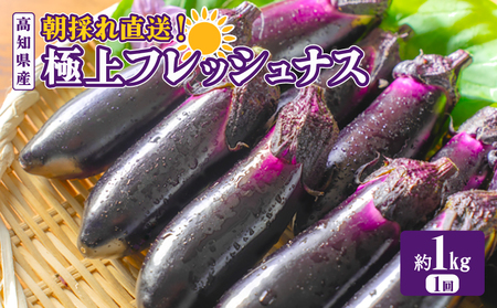 なす 約1kg 約10本 高知県安芸市|ナス