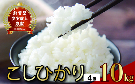 [令和8年産]4回定期便 コシヒカリ(白米) 定期便 10kg×4回 こしひかり
