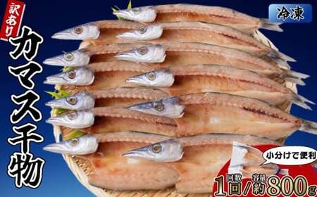 カマスの干物 4袋(約8枚) [1回分]干物