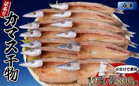 カマスの干物 4袋（約8枚） 【12回分】干物