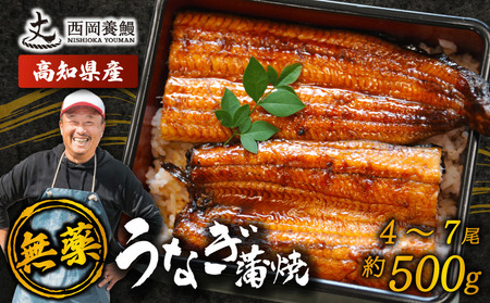 【 うなぎの蒲焼き 】国産 うなぎの蒲焼 500g ( 4～7尾 )