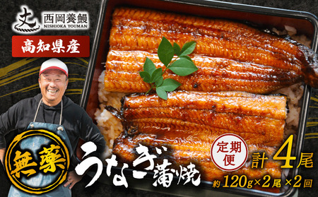 [ うなぎの蒲焼き ] うなぎの蒲焼 定期便 計4尾 ( 120g × 2尾 × 2回 )