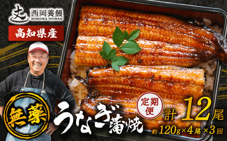 【 うなぎの蒲焼き 】 うなぎの蒲焼 定期便 計12尾 ( 120g × 4尾 × 3回 ) 