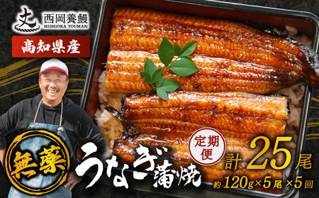 【 うなぎの蒲焼き 】 うなぎの蒲焼 定期便 計25尾 ( 120g × 5尾 × 5回 )
